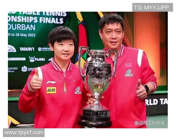 陈丽专访：探寻排球成功背后的秘诀与奋斗历程