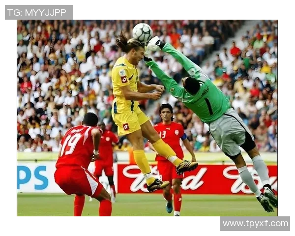 2010年世界杯经典对决荷兰队与德国队的精彩较量回顾