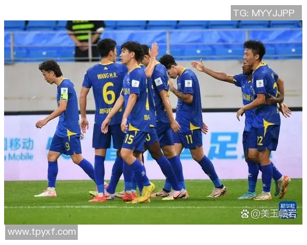 南京足球队灵活性引发热议球迷与专家观点大碰撞