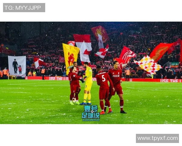 沃特福德主场迎战利物浦全方位分析及赛前预测