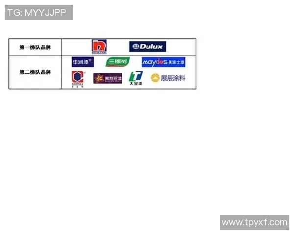 独家解析IG技术优势与竞争对手的全面对比分析